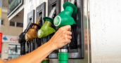 La nafta tuvo un 16,7% de aumento acumulado en los primeros siete meses del año