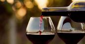 El consumo de vino riojano en el mercado argentino tuvo una fuerte suba en noviembre