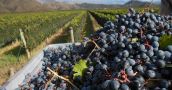 La Rioja aporta el 0,5% del PBI del país