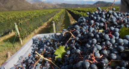 La Rioja aporta el 0,5% del PBI del país